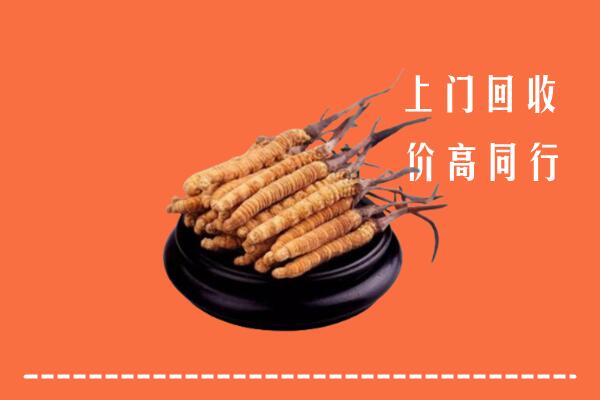 高价求购：察哈尔右翼中旗回收散虫草