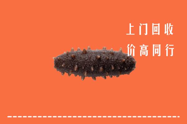 高价求购：察哈尔右翼中旗回收海参