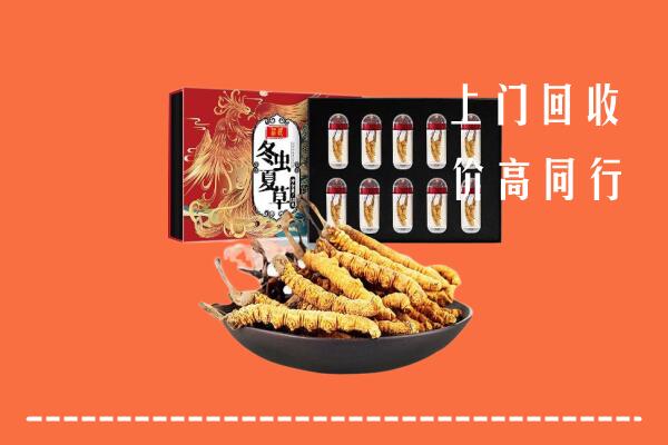 察哈尔右翼中旗回收虫草